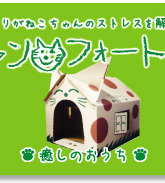 �j�����t�H�[�g�����̂�����