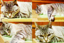 �~�[�����